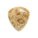 N46 - Cabochon de Pierre - Corail Fossile Goutte 31x29mm - 8741140006843 