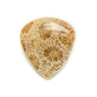 N46 - Cabochon de Pierre - Corail Fossile Goutte 31x29mm - 8741140006843 