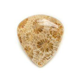 N46 - Cabochon in pietra - Goccia di corallo fossile 31x29mm - 8741140006843 