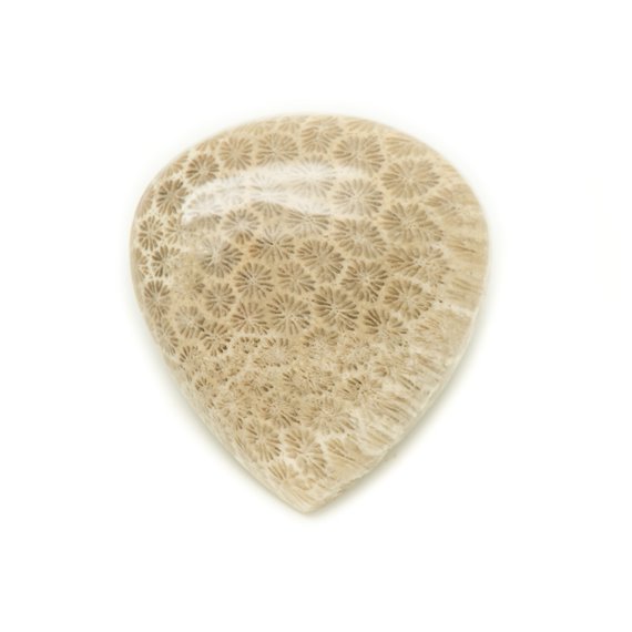 N47 - Cabochon de Pierre - Corail Fossile Goutte 33x30mm - 8741140006850 