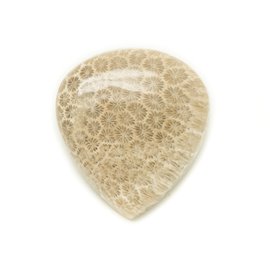 N47 - Stenen Cabochon - Fossil Coral Drop 33x30mm - 8741140006850 