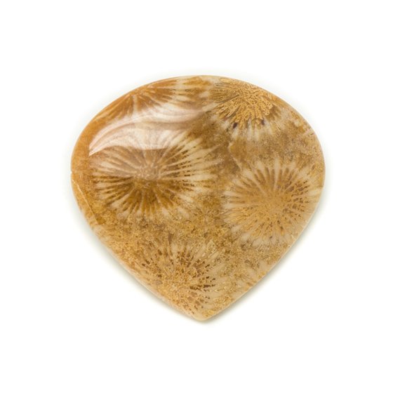 N49 - Cabochon de Pierre - Corail Fossile Goutte 40x38mm - 8741140006874 