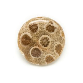 N4 - Cabujón de piedra - Coral Fósil Redondo 26mm - 8741140006423 