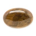 N9 - Cabochon de Pierre - Bois Fossile Ovale 38x26mm - 8741140006249 