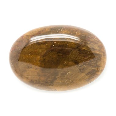 N9 - Cabochon de Pierre - Bois Fossile Ovale 38x26mm - 8741140006249 