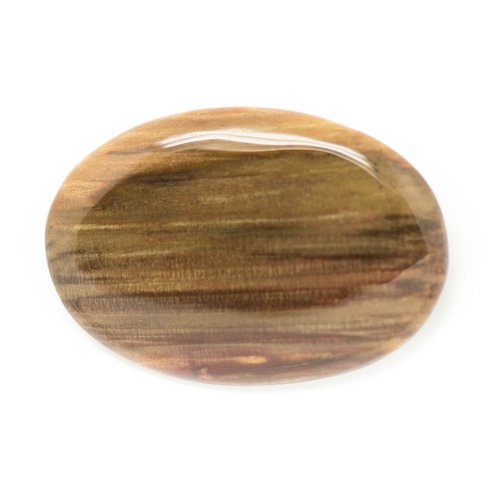 N10 - Cabochon de Pierre - Bois Fossile Ovale 42x29mm - 8741140006256 