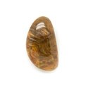 N11 - Cabochon de Pierre - Bois Fossile Goutte 68x49mm - 8741140006263 