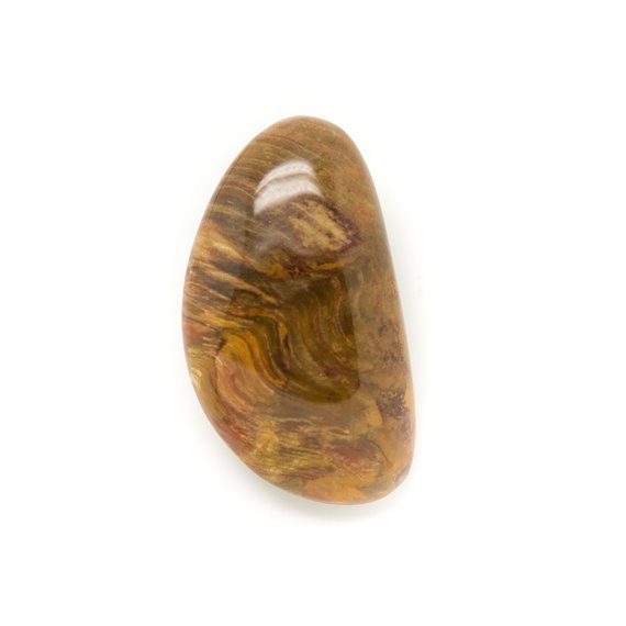 N11 - Cabochon de Pierre - Bois Fossile Goutte 68x49mm - 8741140006263 