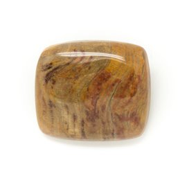 N12 - Cabujón de piedra - Rectángulo de madera fósil 32x19mm - 8741140006270 