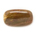 N15 - Cabochon de Pierre - Bois Fossile Rectangle 37x26mm - 8741140006300 