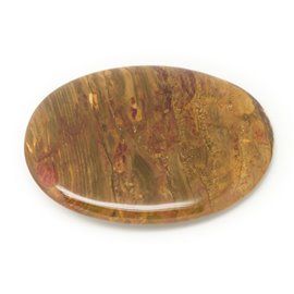 N20 - Cabochon in pietra - Ovale in legno fossile 45x25mm - 8741140006355 