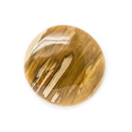N23 - Cabochon in pietra - Tondo in legno fossile 40 mm - 8741140006386 
