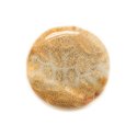 N7 - Cabochon de Pierre - Corail Fossile Rond 30mm - 8741140006454 