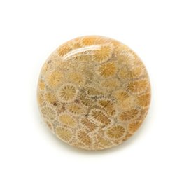 N8 - Cabujón de piedra - Coral fósil redondo 31 mm - 8741140006461 