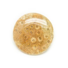 N12 - Cabochon in pietra - Corallo fossile rotondo 37 mm - 8741140006508 