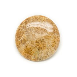 N14 - Cabochon in pietra - Corallo fossile rotondo 39 mm - 8741140006522 