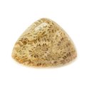 N16 - Cabochon de Pierre - Corail Fossile Triangle 25x20mm - 8741140006546 