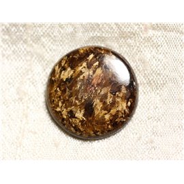 N3 - Cabochon in pietra - Bronzite rotondo 22 mm - 4558550086914 
