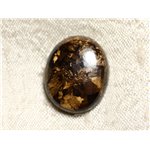 N17 - Cabochon de Pierre - Bronzite Ovale 21mm - 4558550087058 