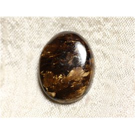 N19 -Cabochon de Pierre - Ovale Bronzite 23mm - 4558550087072 