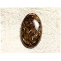 N22 - Cabochon de Pierre - Bronzite Ovale 26mm - 4558550087102 