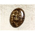 N25 - Cabochon de Pierre - Bronzite Ovale 26mm - 4558550087133 