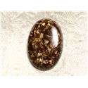 N33 - Cabochon de Pierre - Bronzite Ovale 30mm - 4558550087218 