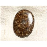 N39 - Cabochon de Pierre - Bronzite Ovale 40mm - 4558550087270 