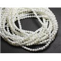 Fil 39cm 95pc env - Perles de Nacre blanche irisée Boules 4mm