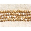 Fil 39cm 70pc env - Perles de Nacre naturelle beige irisée Boules 6mm