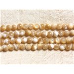 Fil 39cm 70pc env - Perles de Nacre naturelle beige irisée Boules 6mm