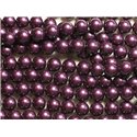 1 Fil 39cm - Perles de Nacre Boules 8mm Violet Aubergine 