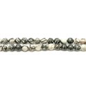 1 Fil 39cm Perles de Pierre - Jaspe Zèbre Boules 14mm 