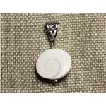 Collier Pendentif Coquillage - Oeil de Shiva Sainte Lucie Ovale 23mm 