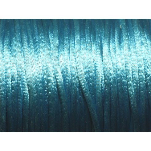 Bobine 45 mètres - Fil Cordon Satin Queue de rat 2mm Bleu Turquoise - 8741140028012