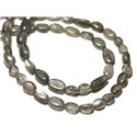 Fil 39cm 53pc env - Perles de Pierre - Labradorite Ovales 6-8mm