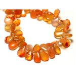 Fil 24cm 73pc env - Perles de Pierre - Cornaline gouttes 7-10mm N2 - 8741140022805 Fil 24cm 73pc env - Perles de Pierre - Cornaline gouttes 7-10mm N2 - 8741140022805