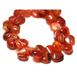 Thread 25cm 50pc approx - Stone Beads - Carnelian gradient drops 8-12mm N7 - 8741140022850