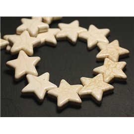 Hilo 39cm 13pc aprox - Cuentas de Piedra Turquesa Sintética 35mm Estrellas Blanco