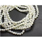 Fil 39cm 52pc env - Perles Coquillage Nacre Boules 8mm blanc reflets irisés