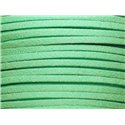 5 metres - Cordon Laniere Suedine Daim 3mm Vert Turquoise Menthe - 7427039730693