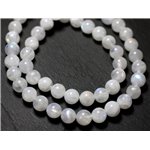 1pc - Perle de Pierre - Pierre de Lune blanche arc en ciel A Boule 10mm - 7427039732086 1pc - Perle de Pierre - Pierre de Lune blanche arc en ciel A Boule 10mm - 7427039732086