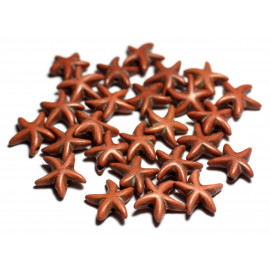 10pc - Perles Pierre Turquoise synthese étoiles de mer 14mm Marron noisette - 7427039739627