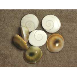 1pc - Perle Coquillage Oeil Sainte Lucie Shiva Ovale 18-22mm blanc beige spirale - 7427039743587