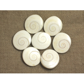 Fil 39cm 18pc environ - Perles Coquillage Oeil Sainte Lucie Shiva Ovales 18-22mm blanc beige spirale