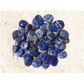 10pc - Perles Pierre Lapis Lazuli Chips Palets Rondelles 8-14mm bleu doré - 4558550018083