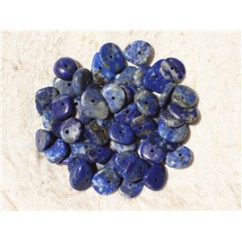 20 Stück - Steinperlen - Lapislazuli Chips Palets Rondelles 8-14mm 4558550018083