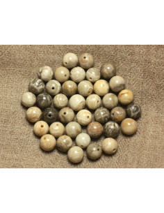 5pc - Perles de Pierre - Corail Fossile Boules 8mm   4558550025456  2