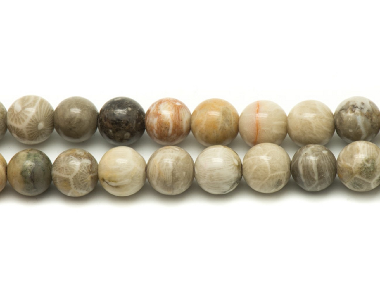 5pc - Perles de Pierre - Corail Fossile Boules 8mm   4558550025456 