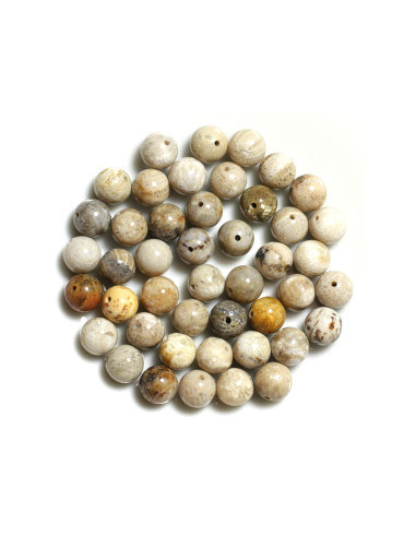 5pc - Stone Beads - Fossil Coral Balls 8mm...